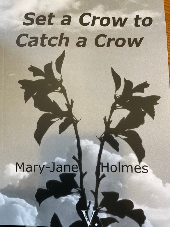 Cover of Set a Crow to Catch a Crow